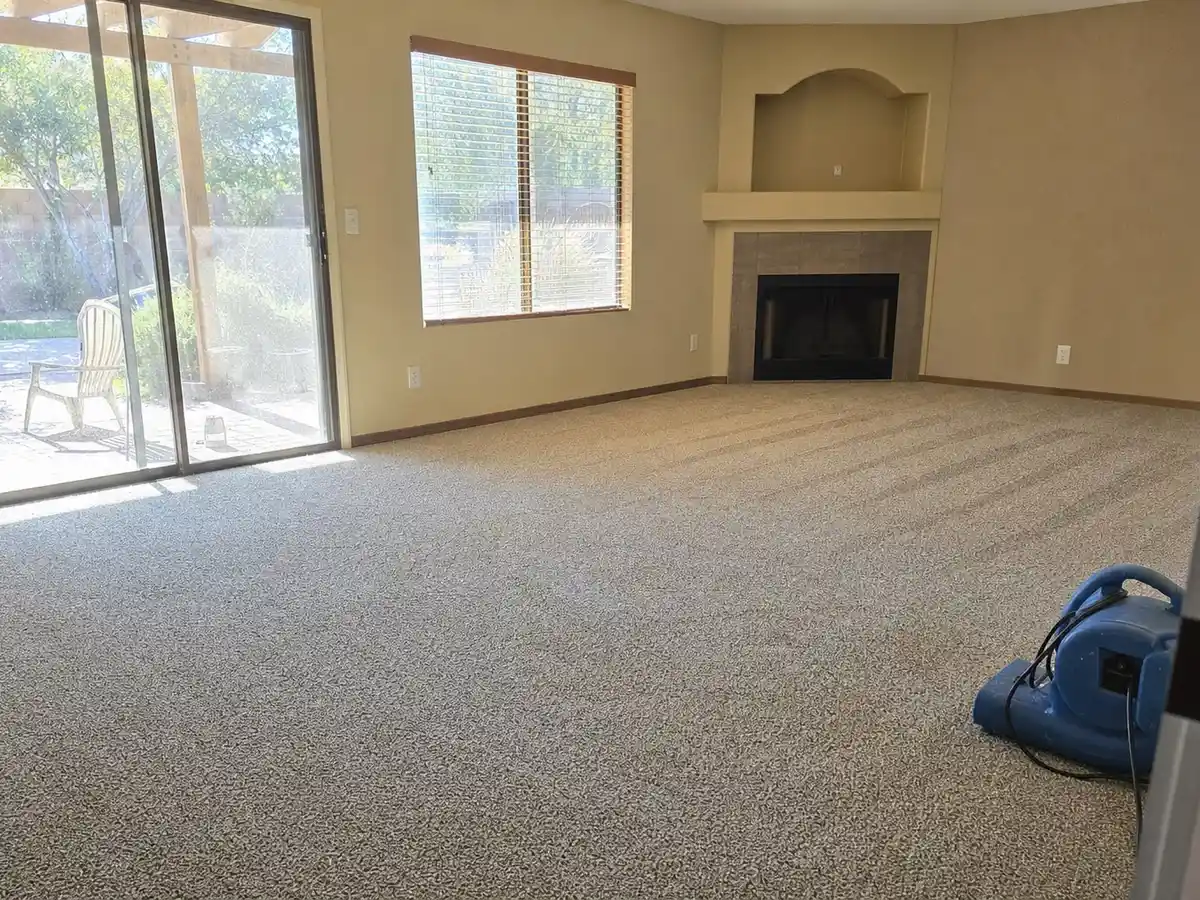 Freshly cleaned carpet with the furniture back in place — completed job in Santa Monica, CA