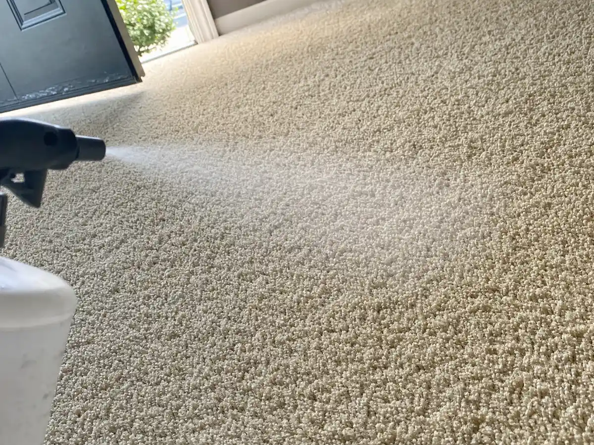 Carpet Deodorizing in Santa Monica, CA