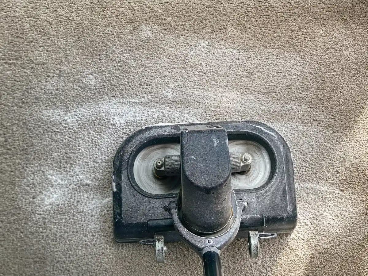 Dry Carpet Cleaning in Santa Monica, CA