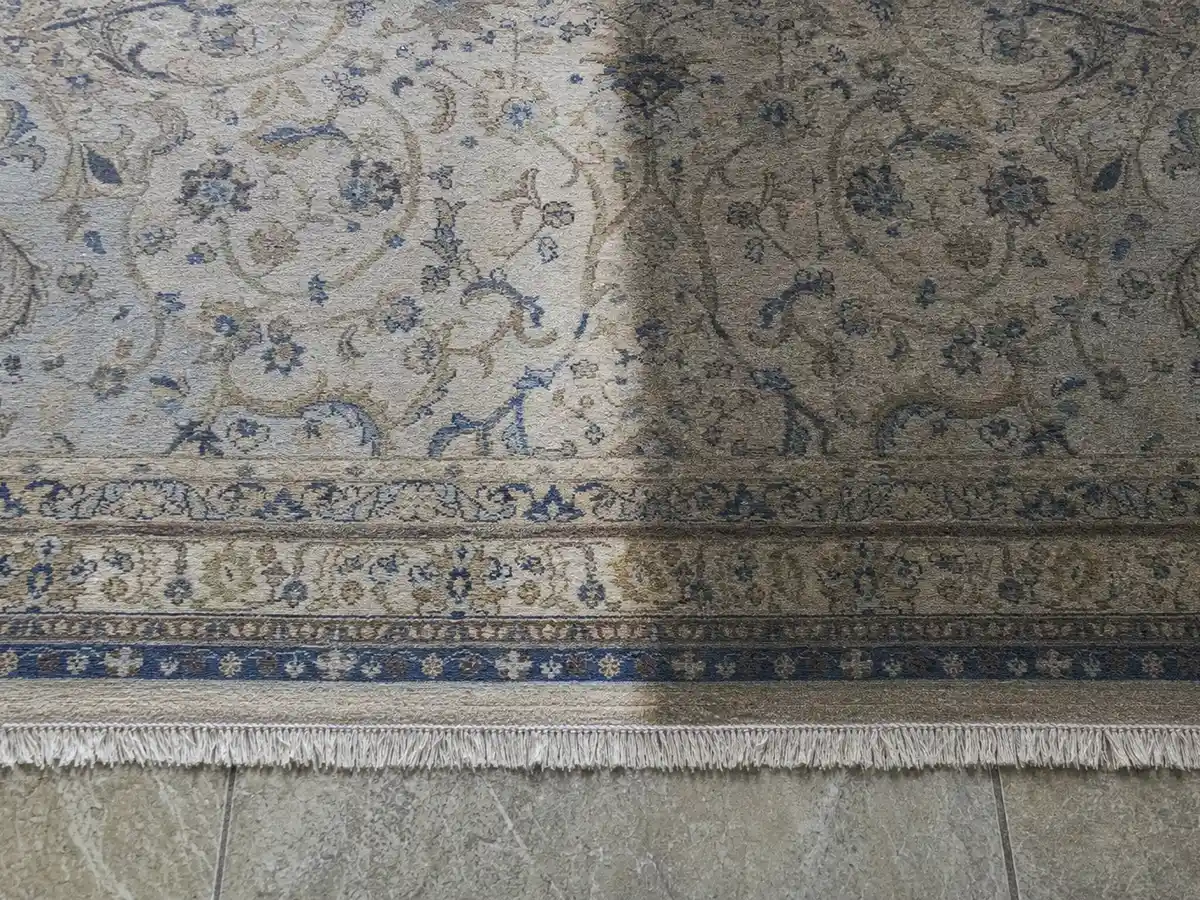 Rug Cleaning in Santa Monica, CA